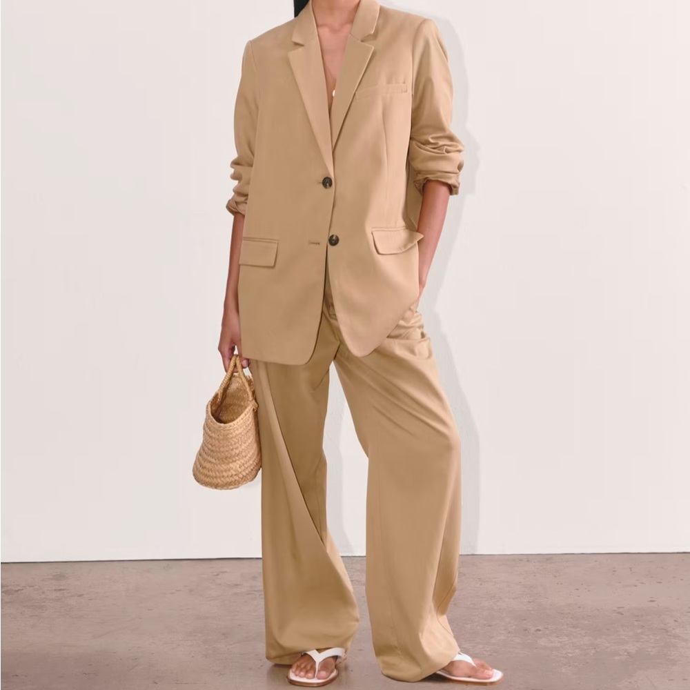 Everlane The‎ Draper Pleated Pant in Buttersmooth Ash Brown